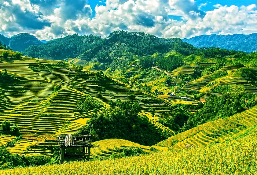 Sapa weather in June The mesmerizing charm of Sapa rice terraces