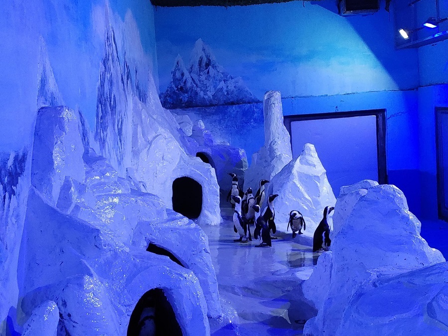 Shopping malls in Hanoi VinKE & Vinpearl Aquarium is dedicated for family fun