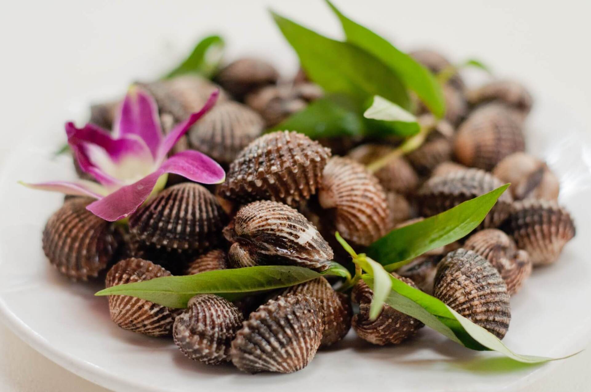 Sò huyết đầm Ô Loan