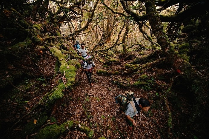 Trekking Trường Sơn 