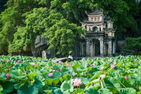Tam Coc Ninh Binh: A comprehensive guide for your day tour