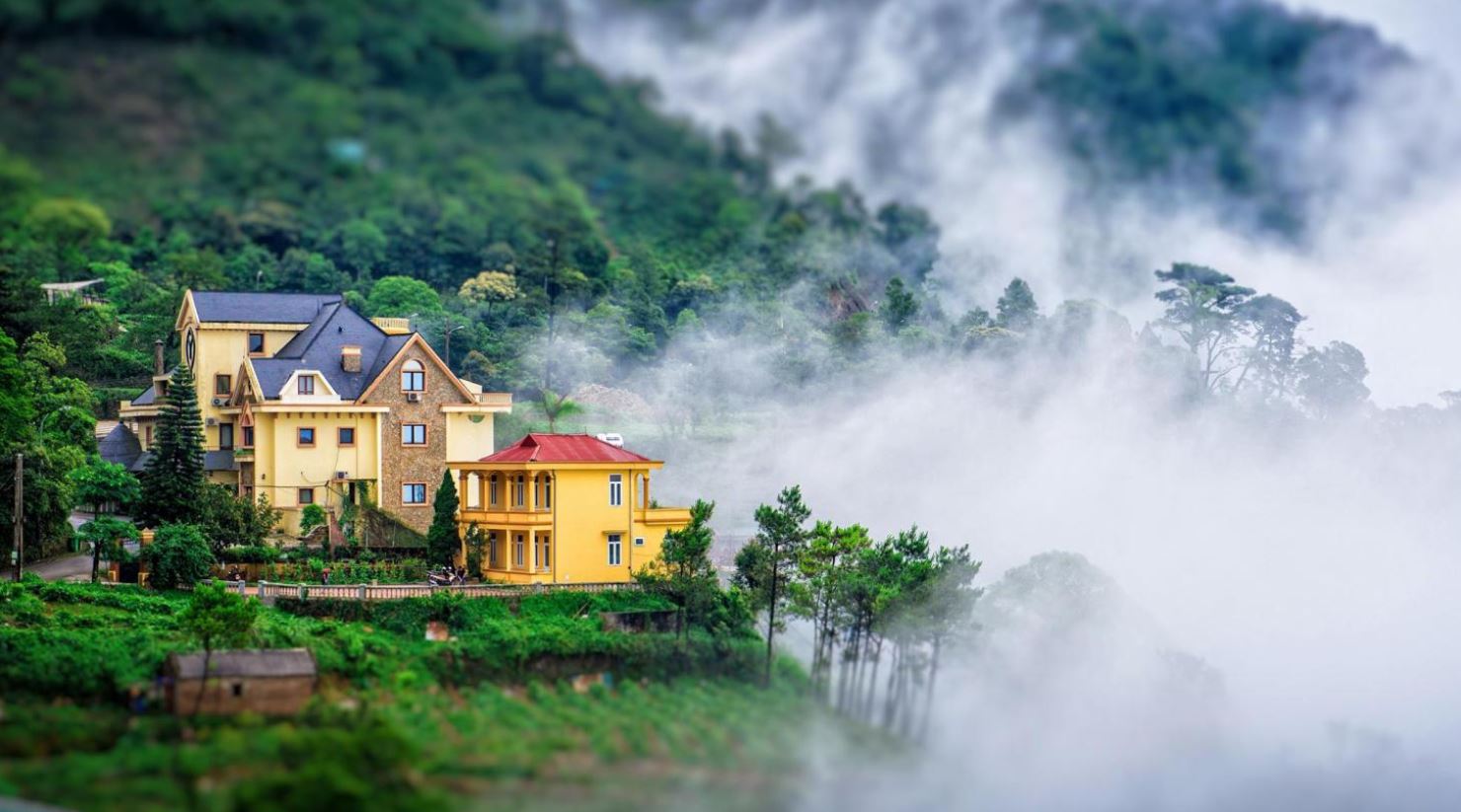 Tam Đảo Vĩnh Phúc mờ sương