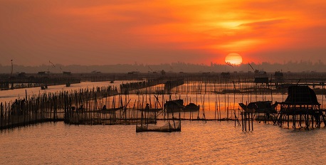 Tam Giang Lagoon: One of the top picks for a memorable sunset in Hue
