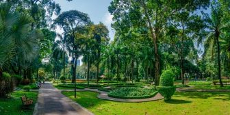 Tao Dan Park: Where to enjoy a true getaway in Ho Chi Minh City