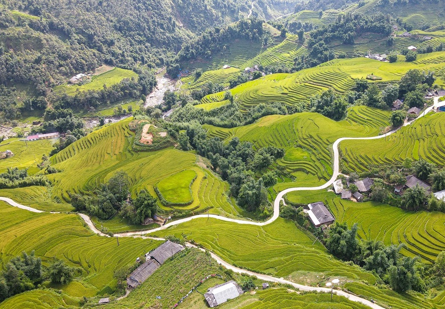 terraced rice fields