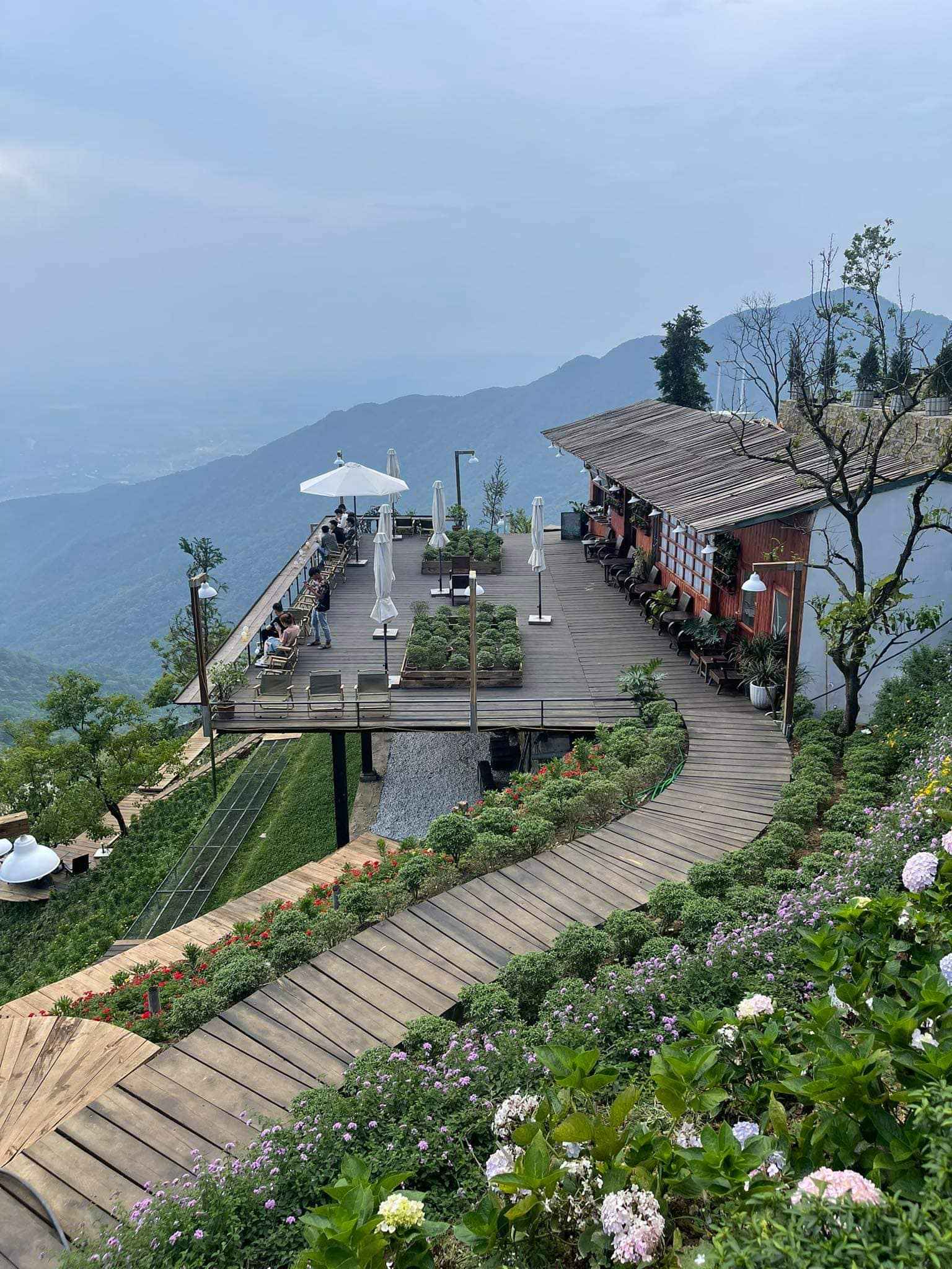 Tết du lịch ở đâu Tam Đảo là địa điểm du lịch HOT chỉ cách Hà Nội 80km