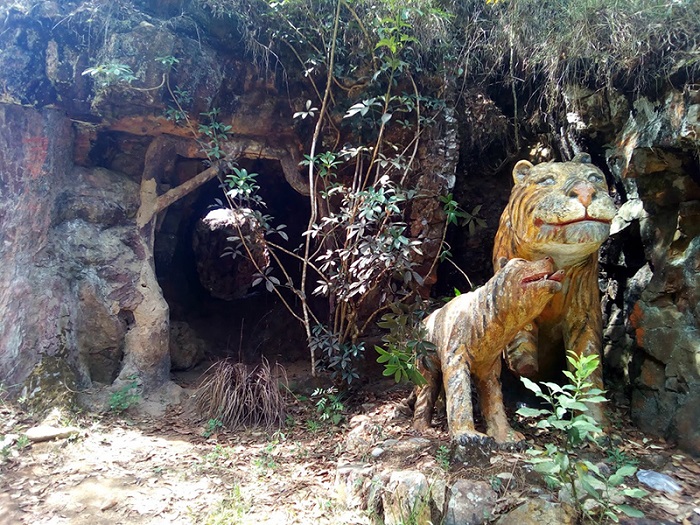 Các tiểu cảnh tại thác Hang Cọp Đà Lạt