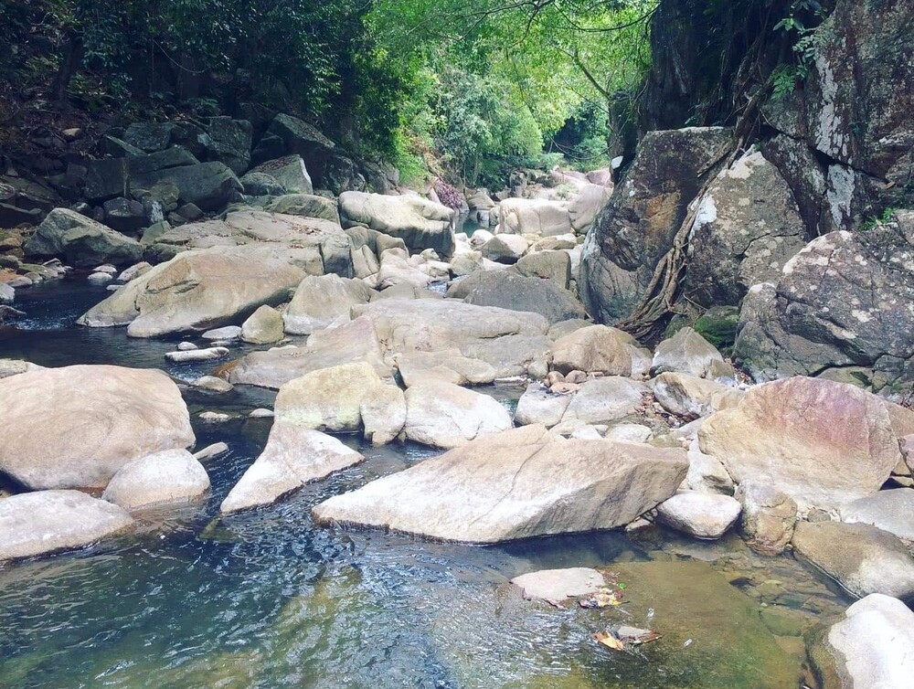 Du khách có thể tổ chức picnic bên thác Lũng Ồ