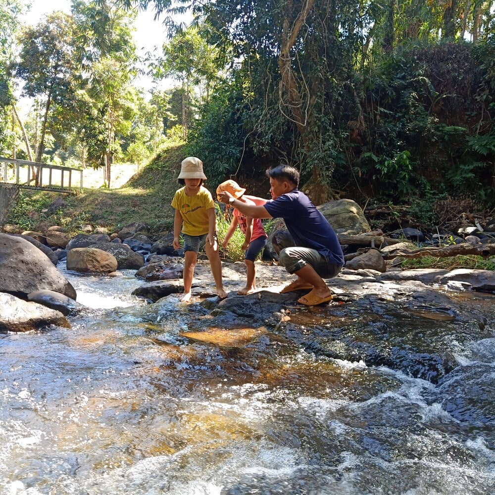 Dòng nước bên con suối nhỏ mát lạnh và tinh khiết