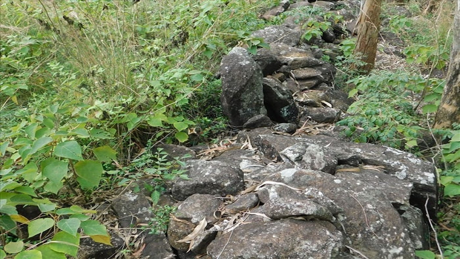 Tham quan núi Đọ Thanh Hóa