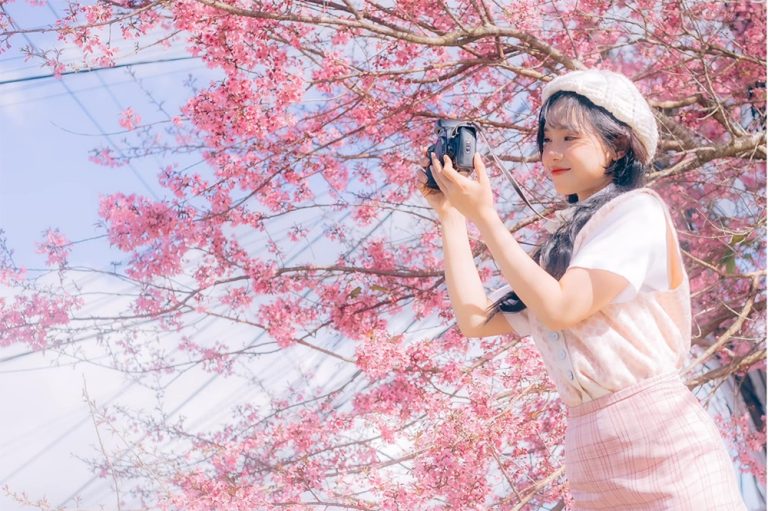 Tháng 1 nên đi du lịch ở đâu Đà Lạt: say đắm vẻ đẹp ngọt ngào tựa Hàn Quốc