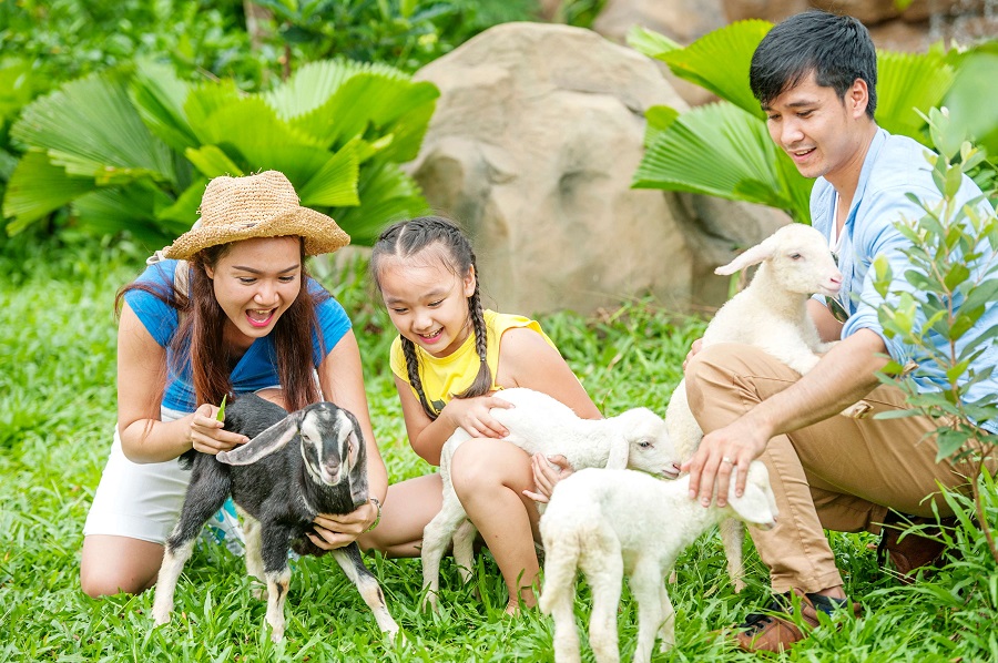 tháng 3 có ngày lễ gì Du khách chọn VinWonders Phú Quốc để cả nhà cùng vui chơi