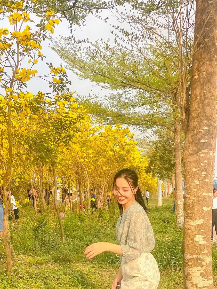 Bắc Giang lãng mạn mùa hoa chuông vàng