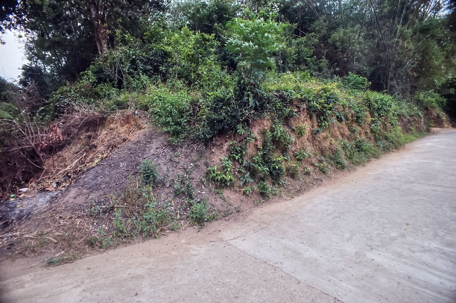 Thành cổ trải qua các giai đoạn thịnh suy cùng vương quốc Chăm Pa và những thăng trầm trong lịch sử nước Việt