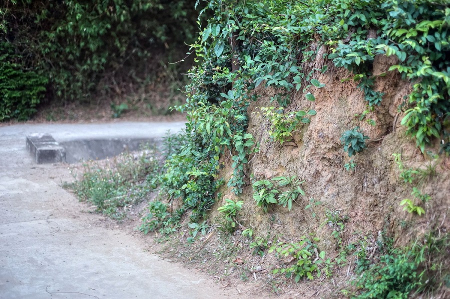 Từ tháng 4 đến tháng 8 là thời điểm lý tưởng nhất để tham quan thành cổ Châu Sa