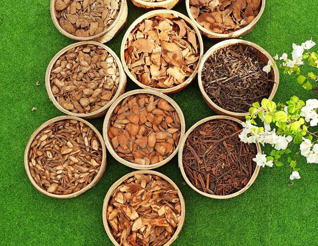 Tắm lá Dao đỏ Sa Pa Thành phần thuốc tắm người Dao đỏ