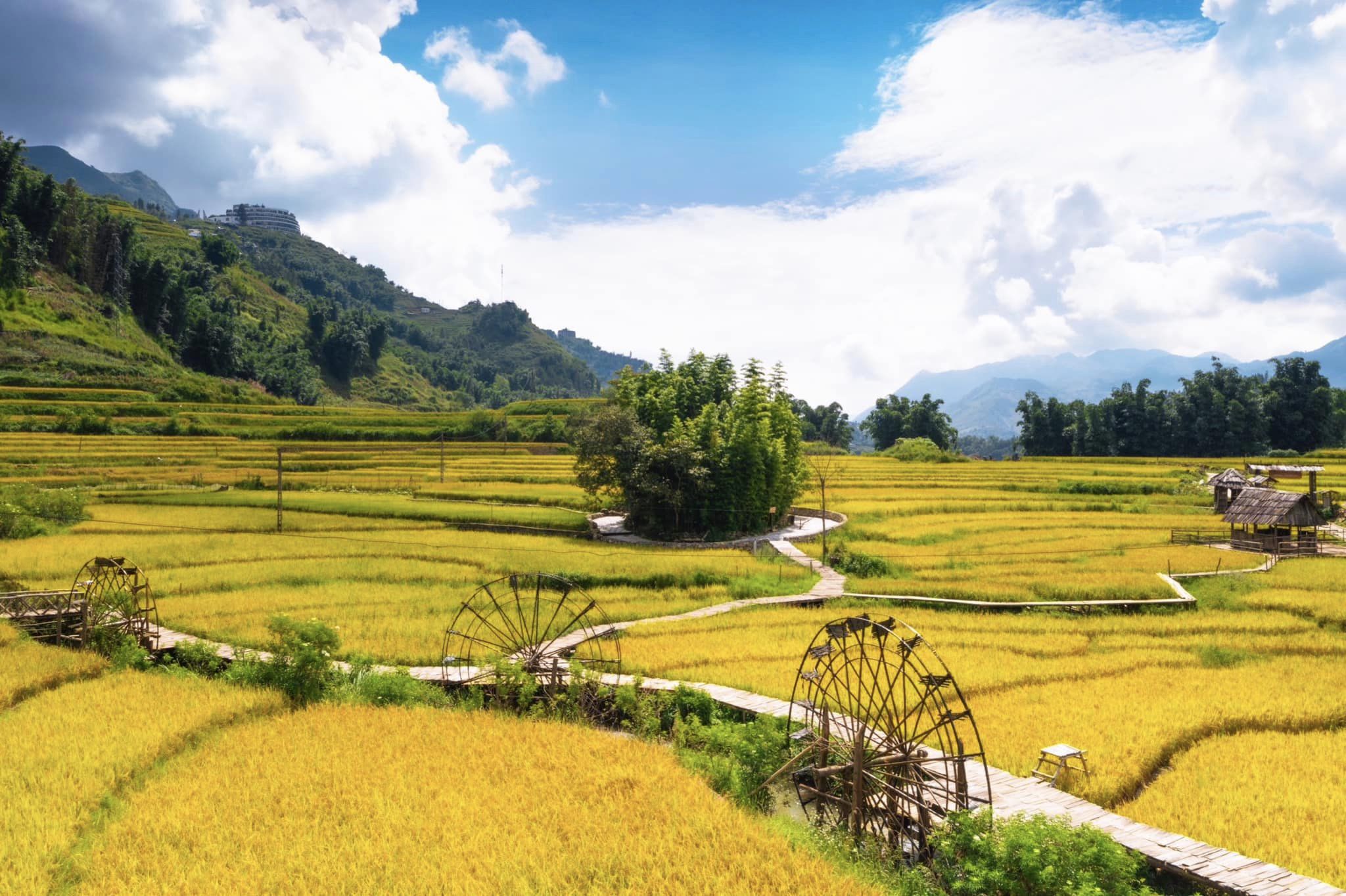 Thời điểm nên đến bản Cát Cát