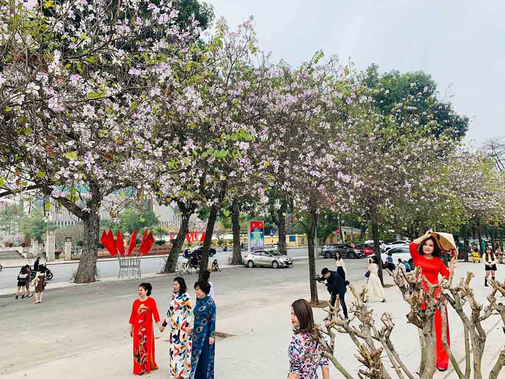 Du lịch Hà Nội tháng 2 là trải nghiệm đáng nhớ cho du khách