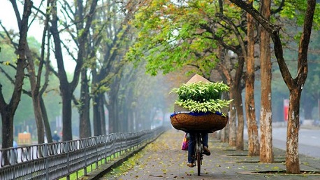 Thời tiết Hà Nội tháng 2 thế nào? Du lịch Hà Nội tháng 2 đi đâu?