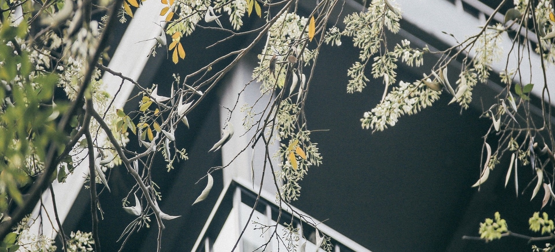 thời tiết hà nội tháng 3