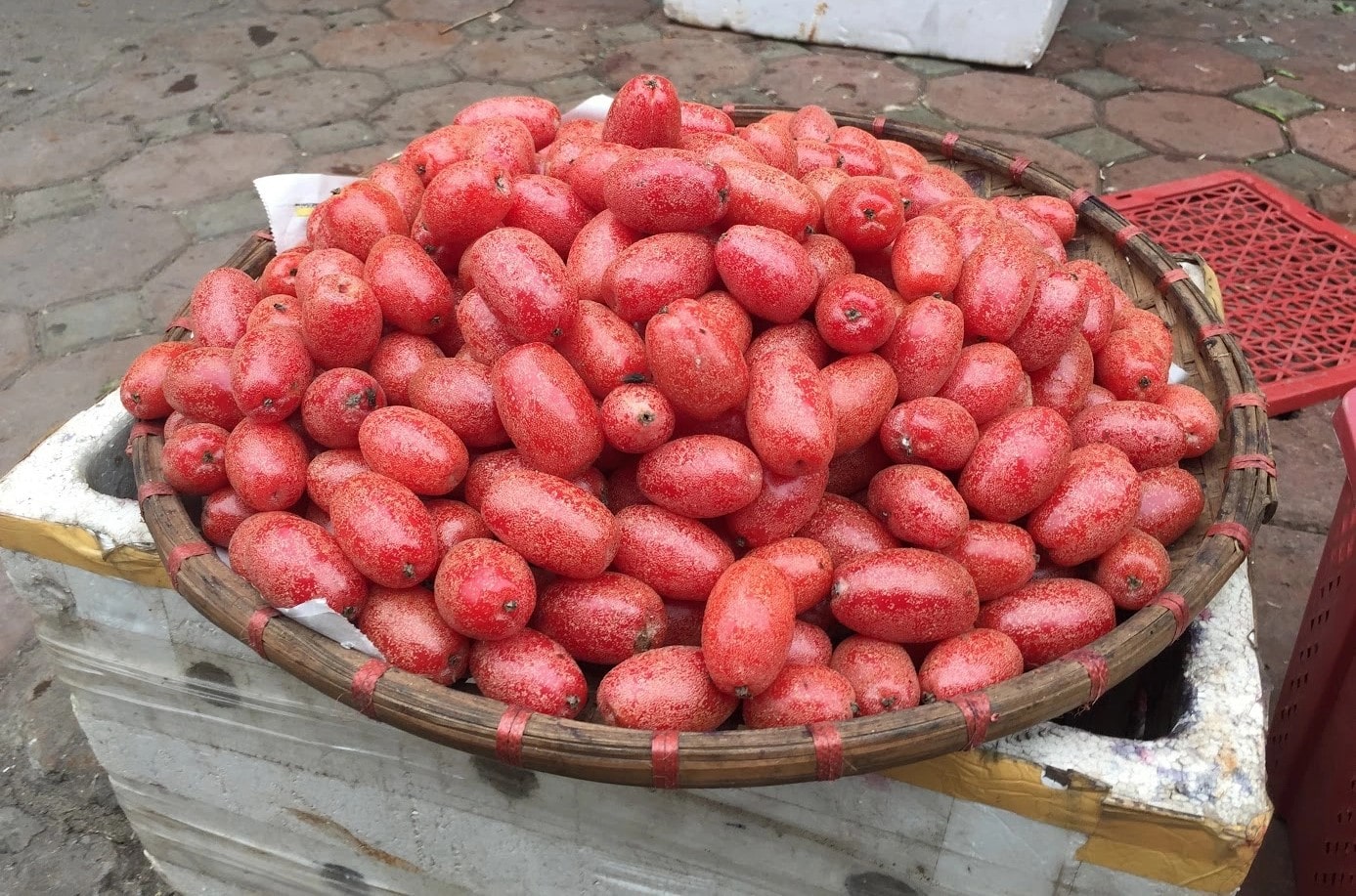 Trái nhót - thức quà đặc trưng của Thủ đô