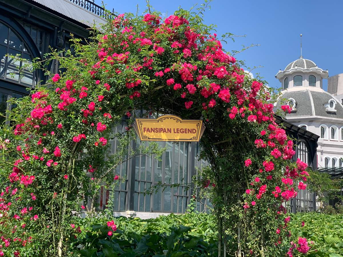 Thung lũng hoa hồng Fansipan