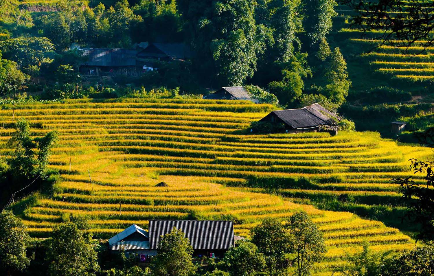 Thung lũng Mường Hoa Sa Pa