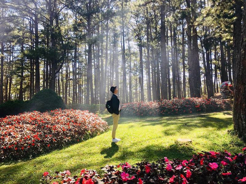 Thung Lũng Vàng Thung Lũng Vàng Đà Lạt