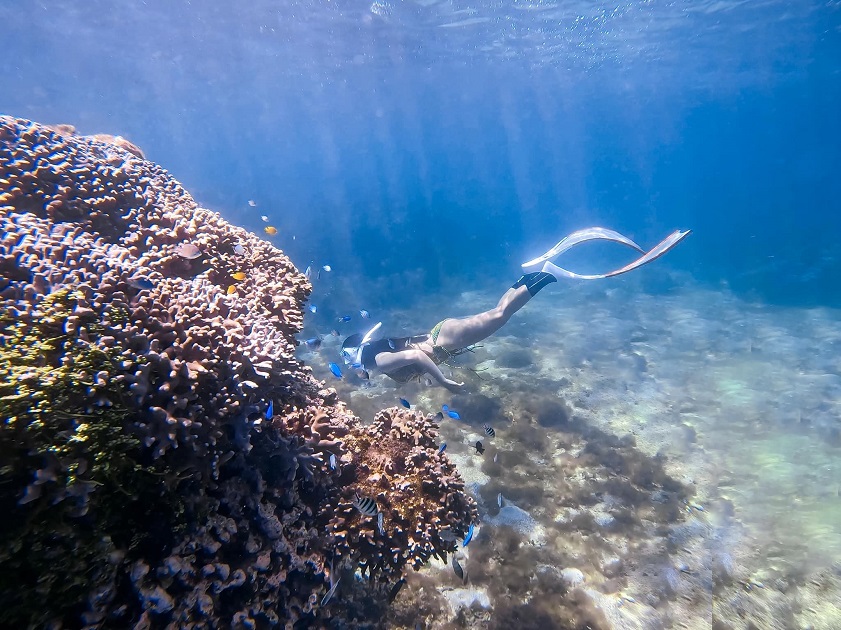 time for Con Dao diving