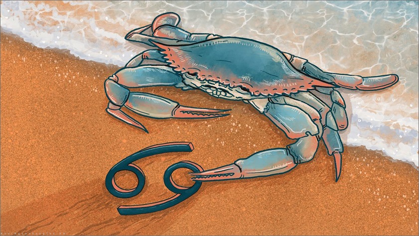 Mỗi ngày sinh mang một đặc điểm khác nhau