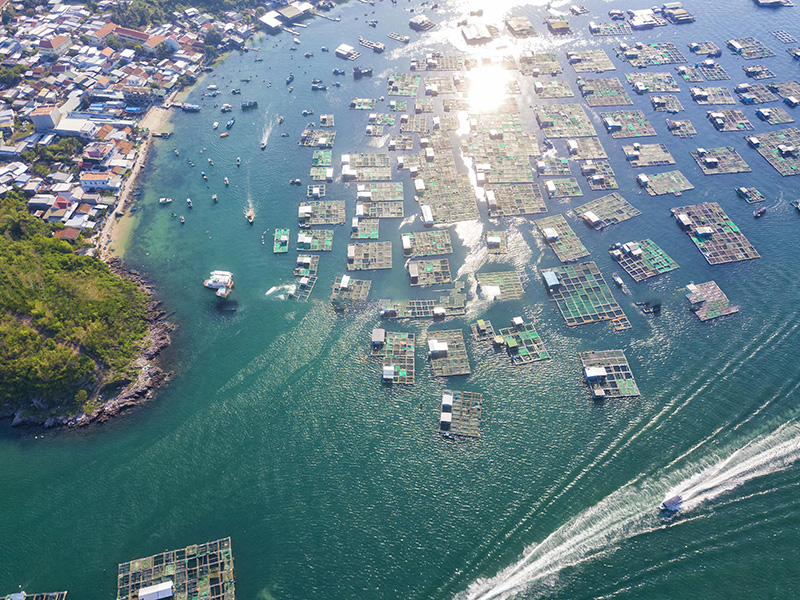 Lịch trình tour du lịch Nha Trang không thể bỏ qua Hòn Miễu 