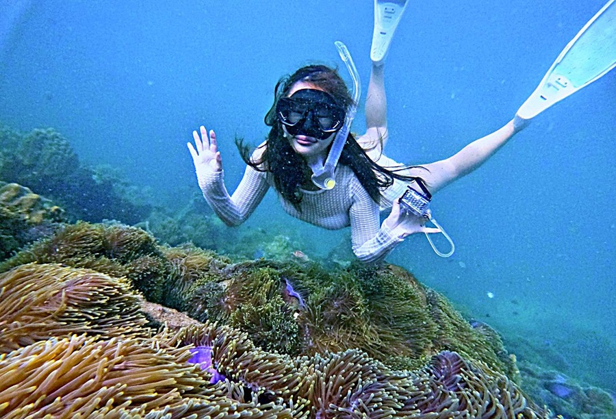 tour lặn biển Phú Quốc