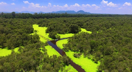 Tra Su Cajuput Forest: Where to get lost in serene nature