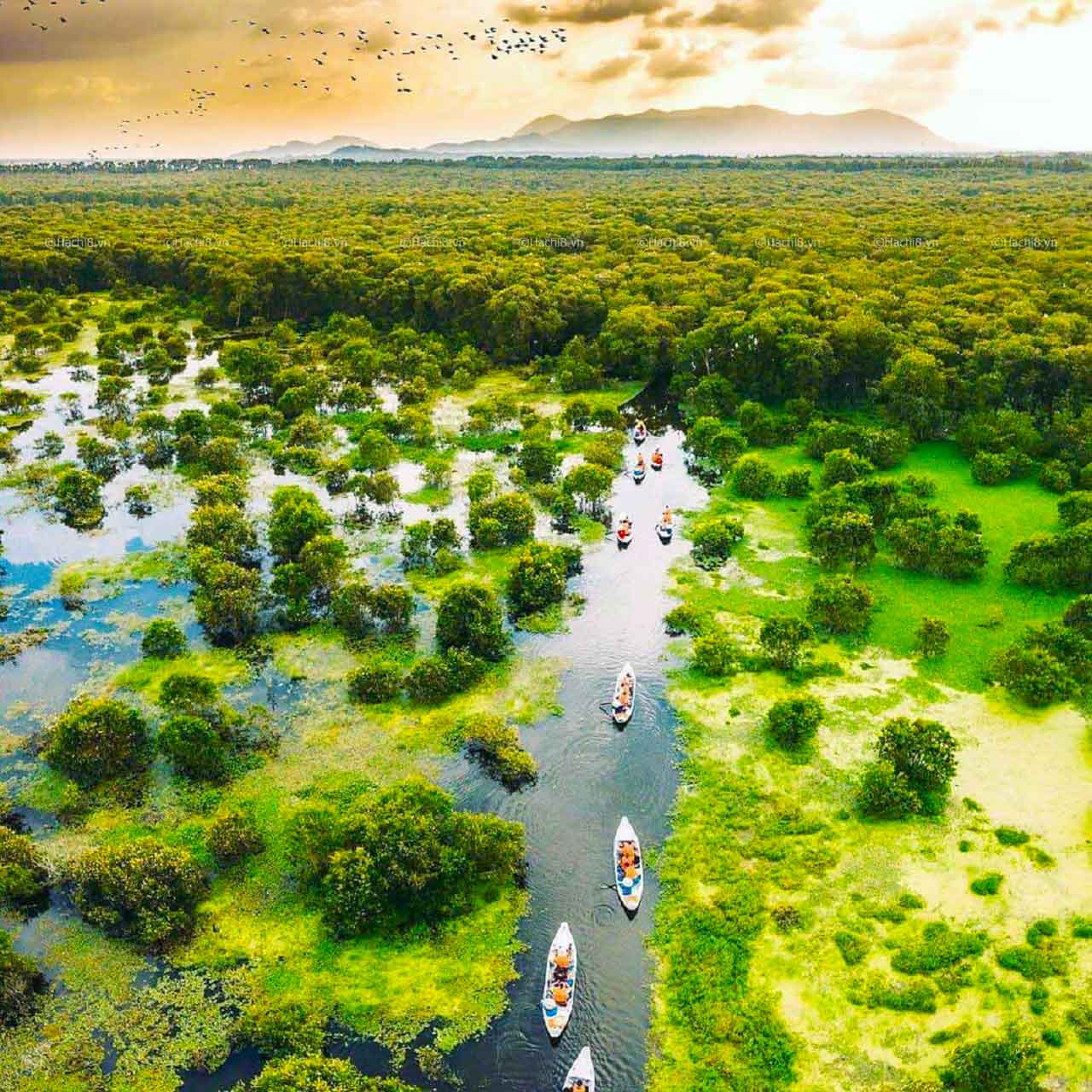 Explore Vietnam's best places with our travel to Vietnam blogs