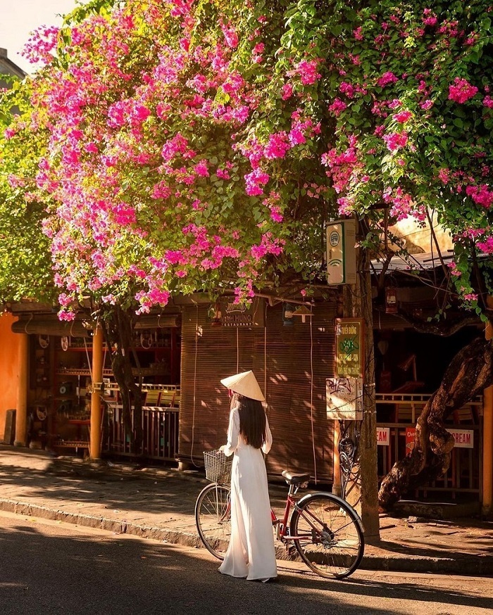 The travel to Vietnam blogs ensure a safe and fulfilling experience