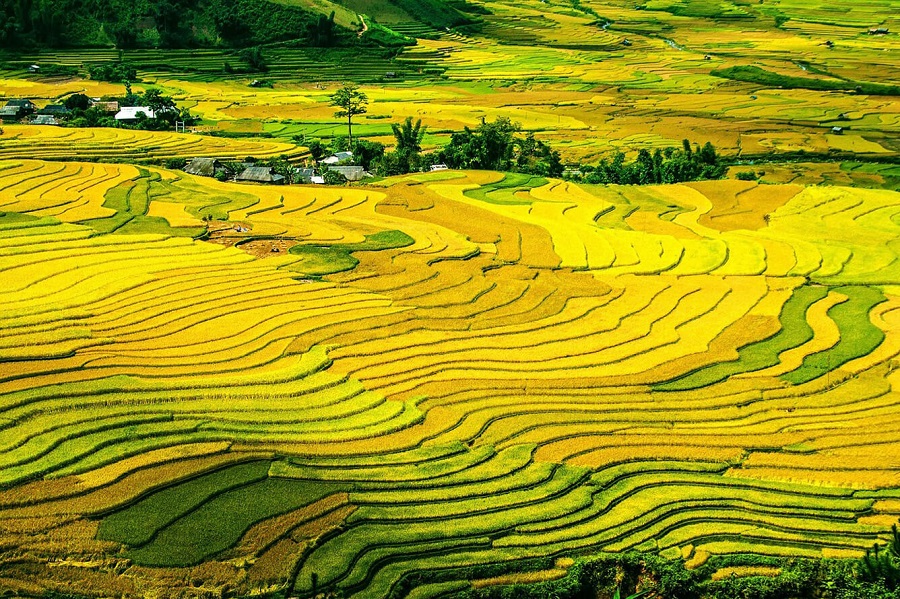 Travel to Vietnam from Canada Vietnam is an incredibly captivating country in Southeast Asia, with picturesque landscapes that resemble paintings