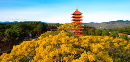 Tu viện Bát Nhã Bảo Lộc – Chốn an yên đẹp tựa tiên cảnh ở Lâm Đồng