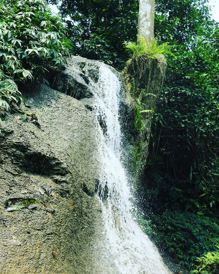 Vẻ đẹp trên đường đến Thác Mơ