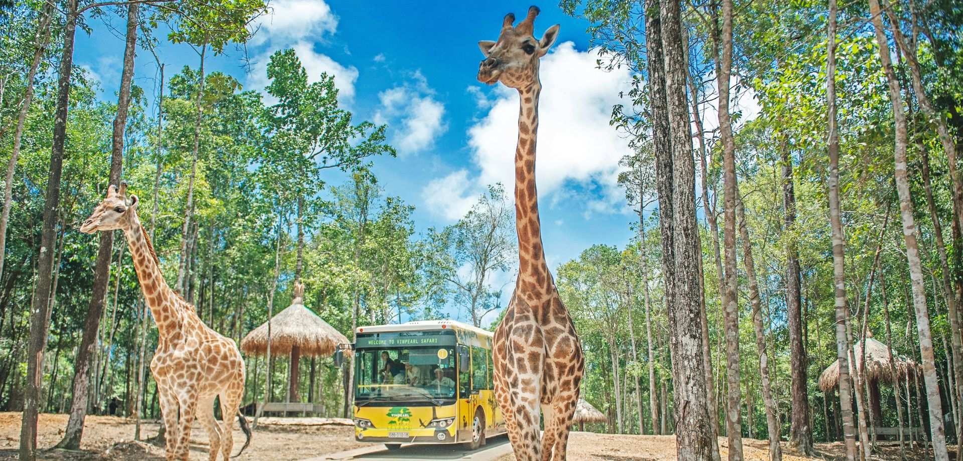 Vietnam 1-month itinerary