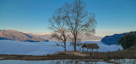 Vietnam in winter: A comprehensive guide to fully embrace the chill