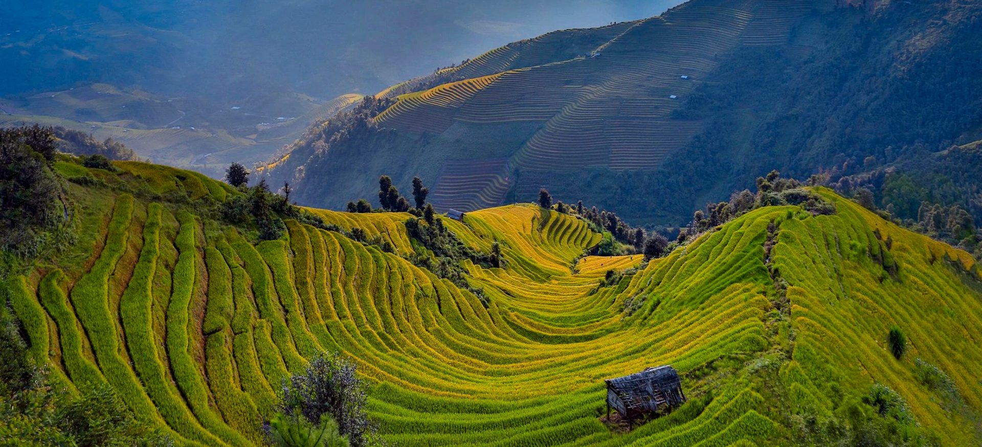 Rice terraces in Vietnam