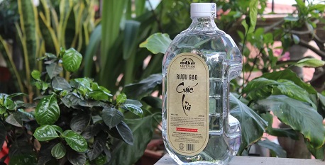 Vietnamese rice wine: An indispensable part of Vietnamese dining culture