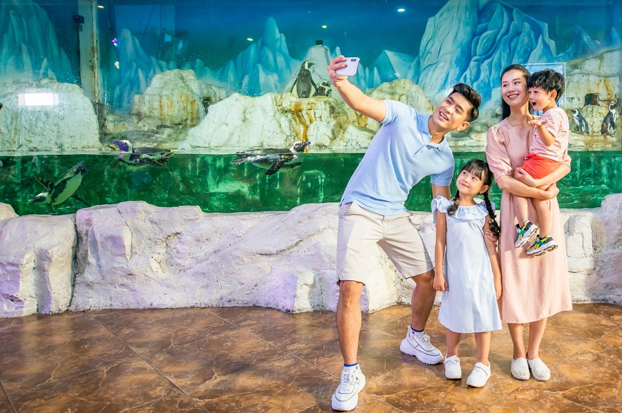 1/6 đi chơi ở đâu Hà Nội Thuỷ cung Vinpearl Aquarium Times City