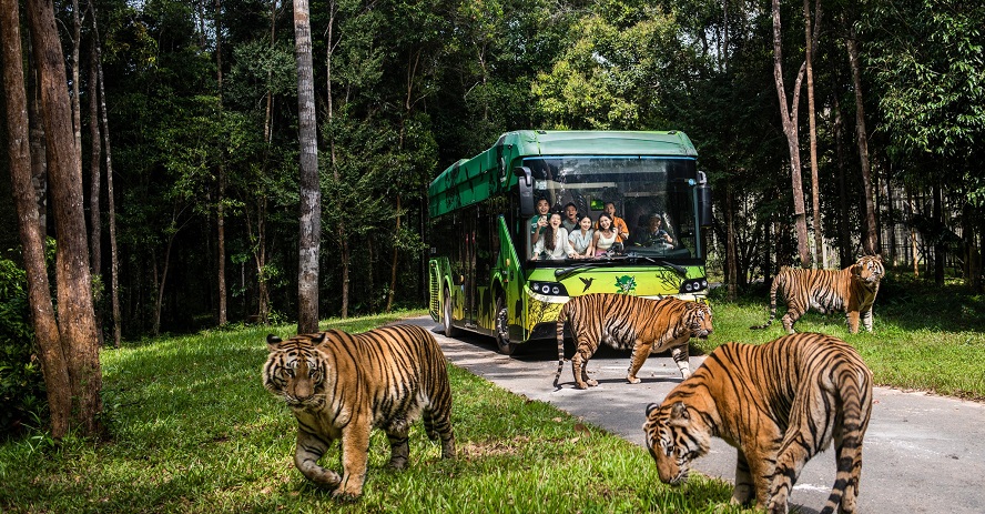 animals in Vietnamese Visit Vinpearl Safari Phu Quoc