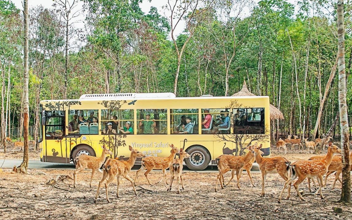 animals in Vietnamese visits to wildlife sanctuaries