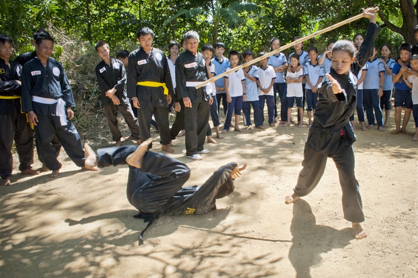 Võ cổ truyền Bình Định Võ Bình Định - tinh hoa võ cổ truyền Việt Nam