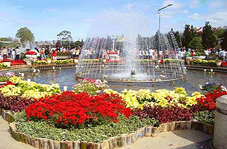 Vườn hoa thành phố Đà Lạt: Địa chỉ, giờ mở cửa, giá vé mới nhất 2025