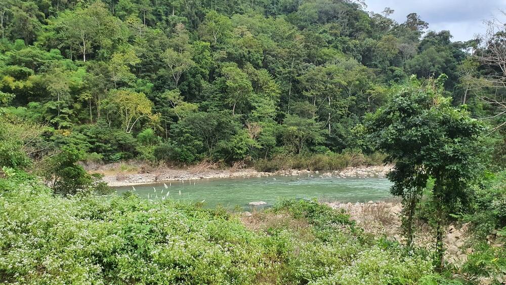 Vườn quốc gia Phước Bình Ninh Thuận: Review chi tiết A-Z