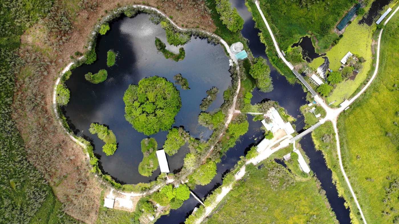 Vườn Quốc gia U Minh Thượng Hồ Hoa Mai như một bông hoa năm cánh nở rộ