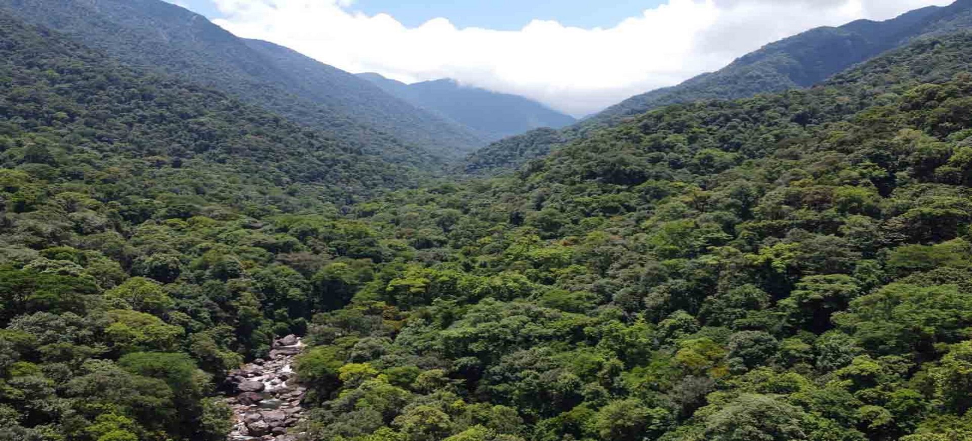 Vườn Quốc gia Vũ Quang